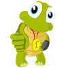 TurtleInteractive