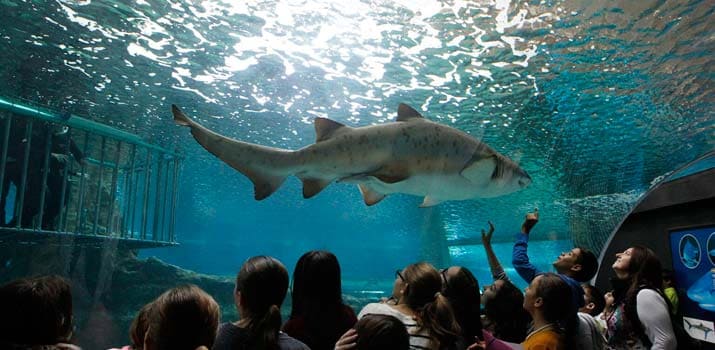 almeria aquarium