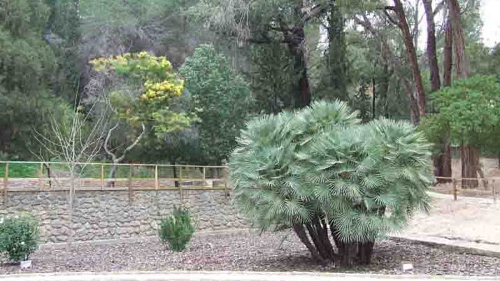 arboretum el valle