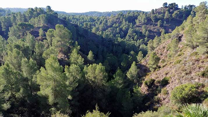 barranco de los cañones