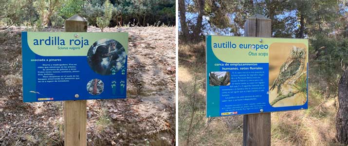 barranco regidora fauna