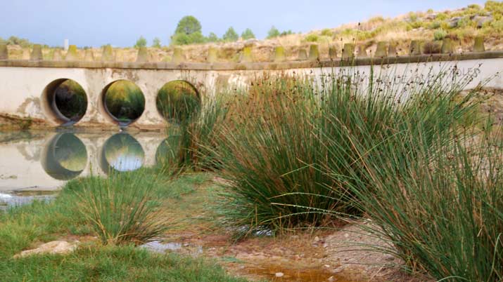 fuente caputa nacimiento