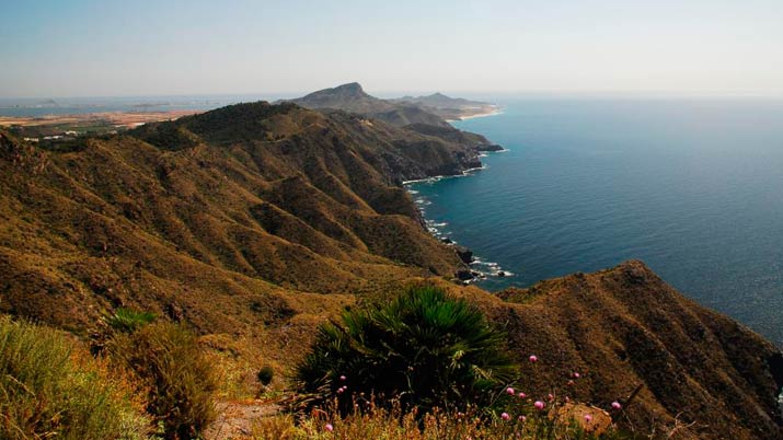 monte de las cenizas