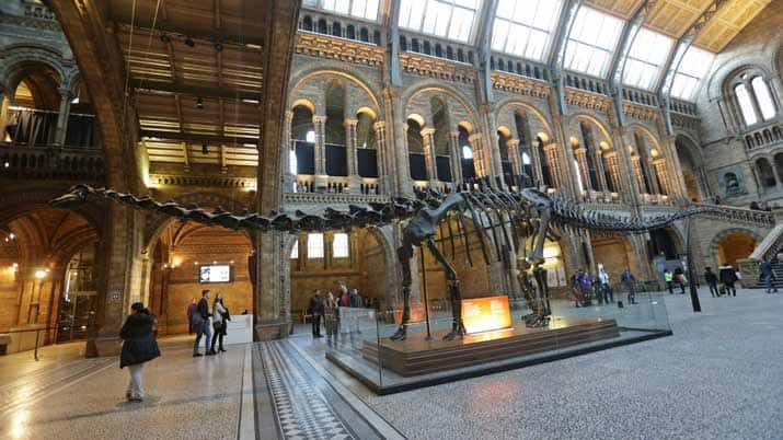 museo historia natural londres