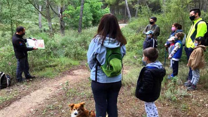 Cuentacuentos forestal