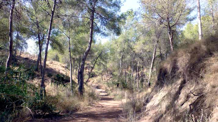 sendero barranco de los canones sl mu53 p