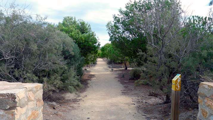 sendero mirador punta negra arboretum