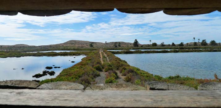 sendero mirador punta negra salinas 2